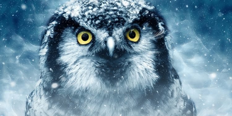 Disconnect to Reconnect: The Surprising Health Benefits of a Digital Detox