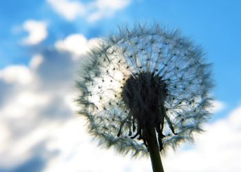 Mindful Munching: Transforming Your Relationship with Food