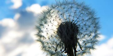 Mindful Munching: Transforming Your Relationship with Food