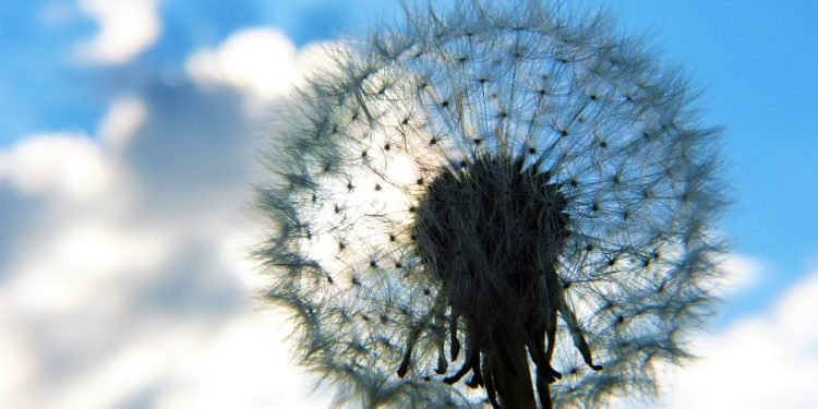 Mindful Munching: Transforming Your Relationship with Food