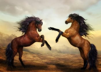 Mastering the Afterglow: Implementing Effective Post-Retreat Strategies for Lasting transformation