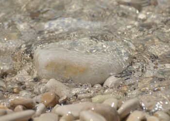 Mindful Living: Cultivating Self-Awareness for a Balanced Life