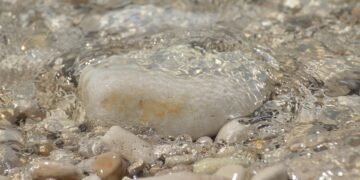 Mindful Living: Cultivating Self-Awareness for a Balanced Life