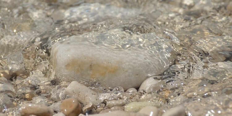 Mindful Living: Cultivating Self-Awareness for a Balanced Life